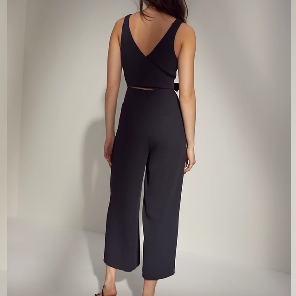 Aritzia jumpsuit (Wilfred) - Picture 4 of 5